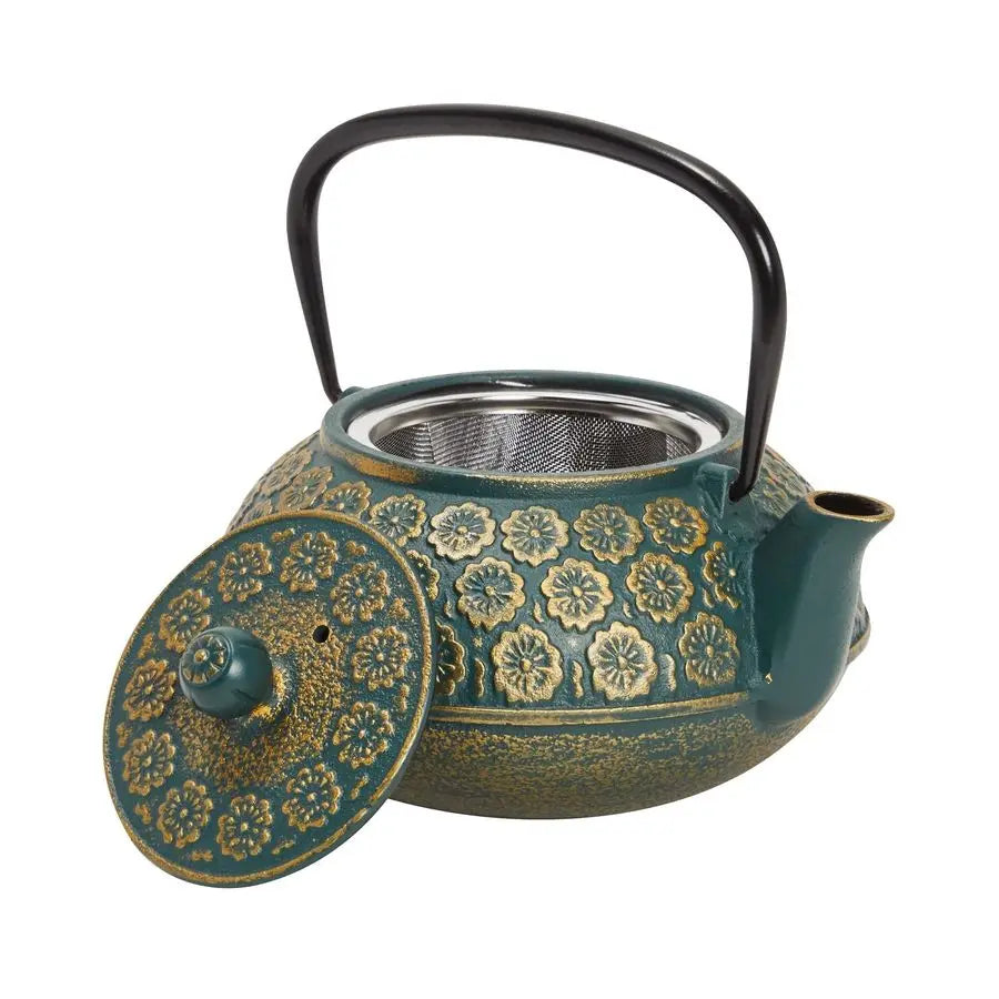 Cast Iron Tea Kettle With Infuser Japanese Teapot Loose Leaf