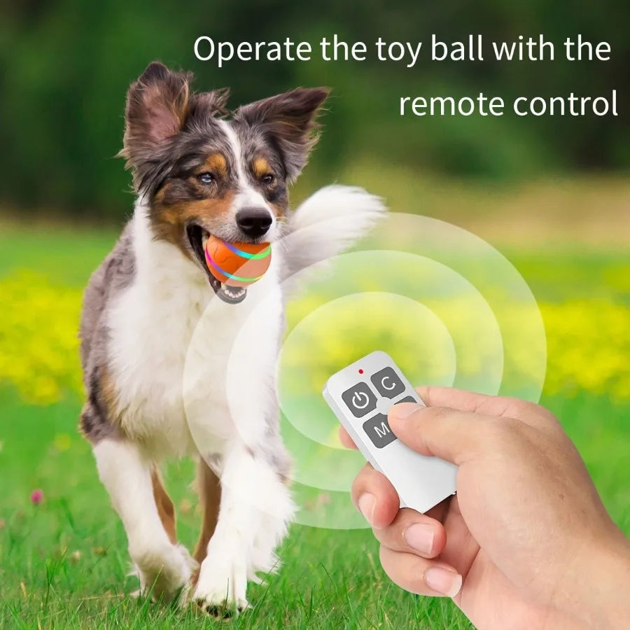 Hign-concerned Interactive Dog Chew Toy Ball Led Light