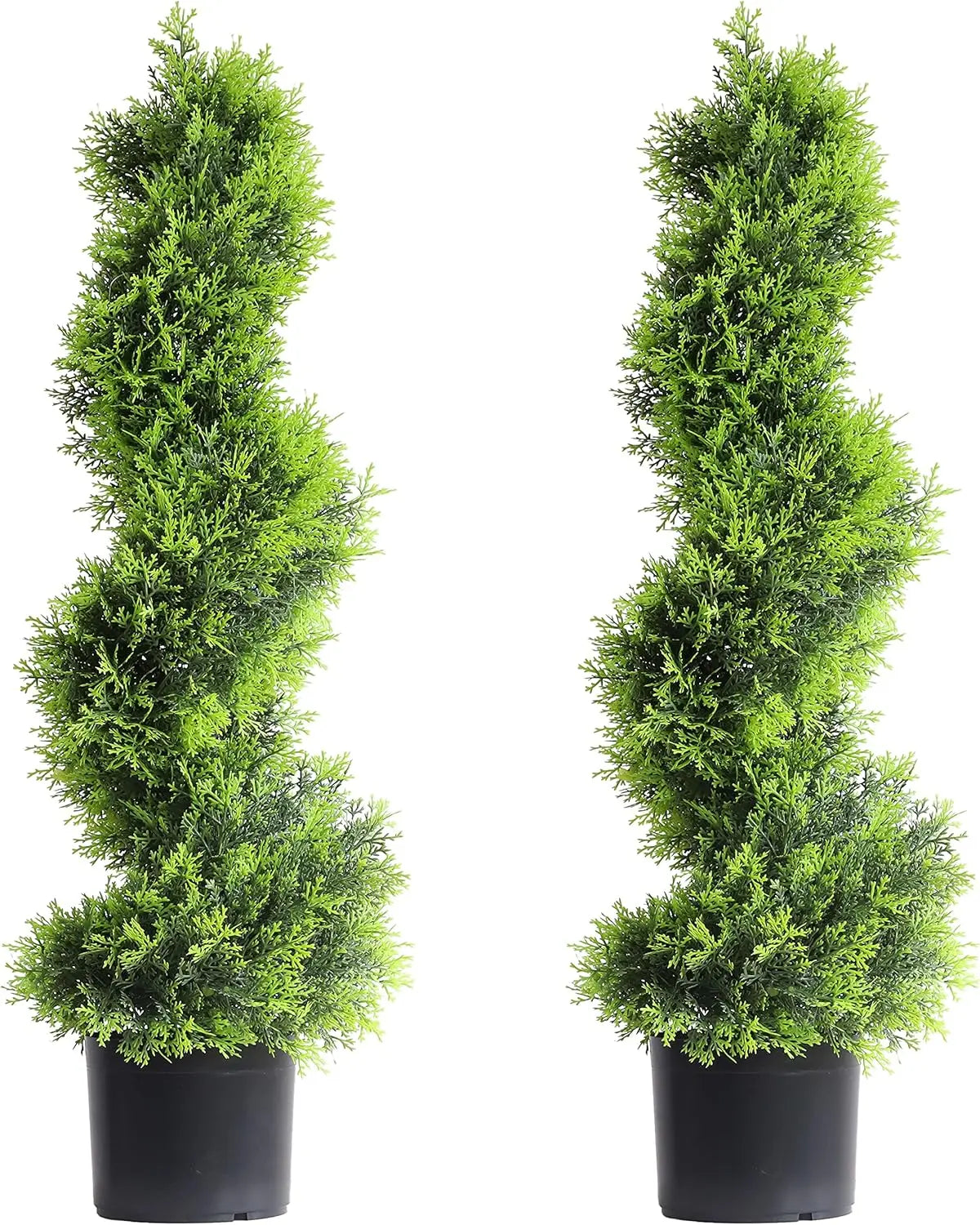 Hign-concerned Spiral Topiary Cypress Tree Two Pack Outdoor