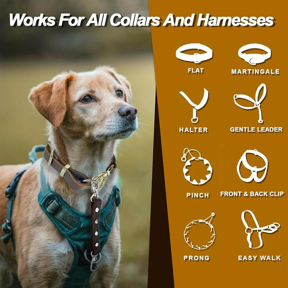 Fujian Durable Leather Dog Collar Safety Clip Harness