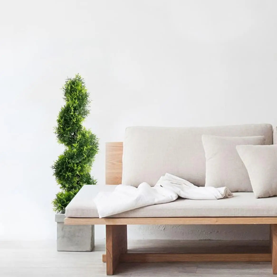 Hign-concerned Spiral Topiary Cypress Tree Two Pack Outdoor