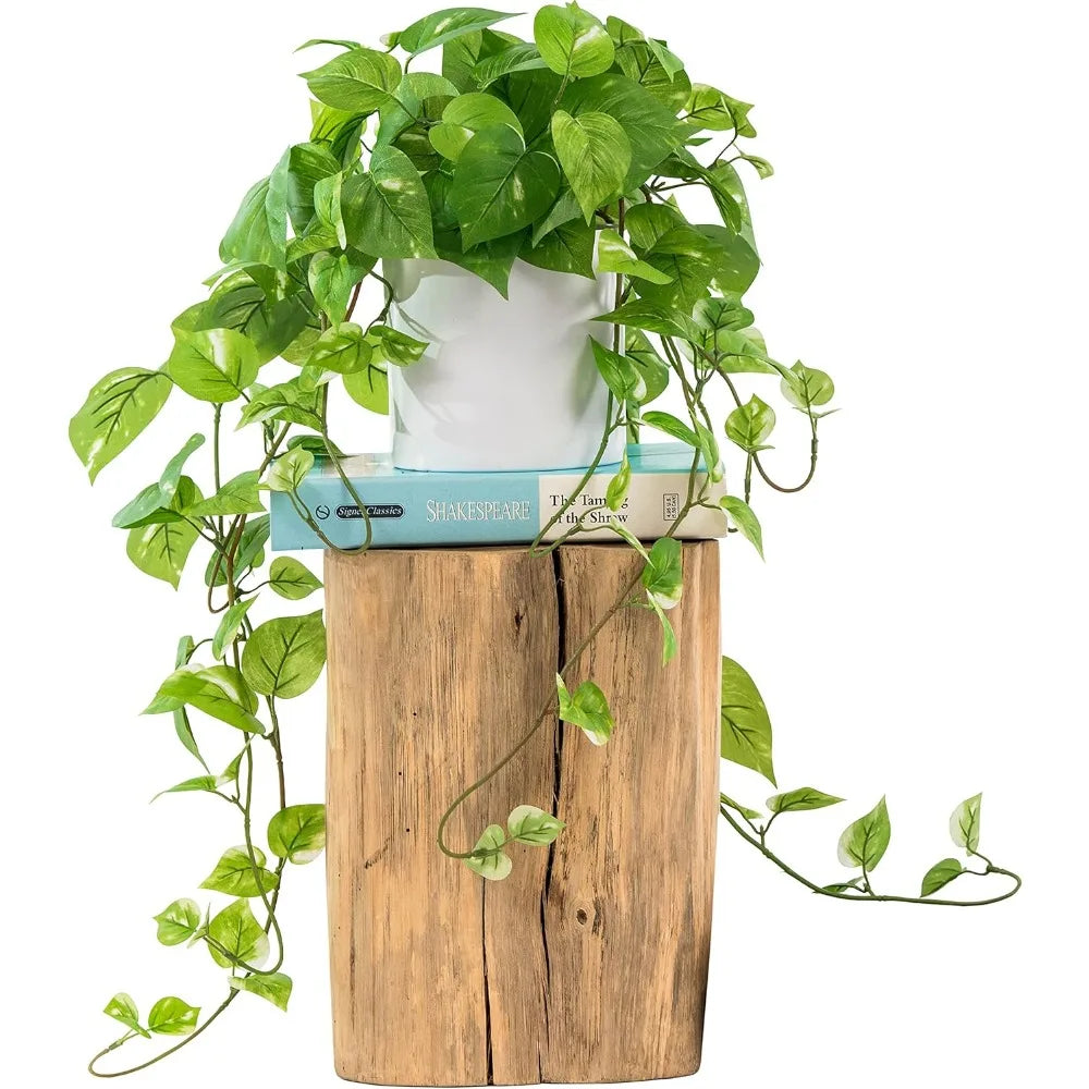 Fujian Silk Home Decor Plant In Pot Realistic Indoor
