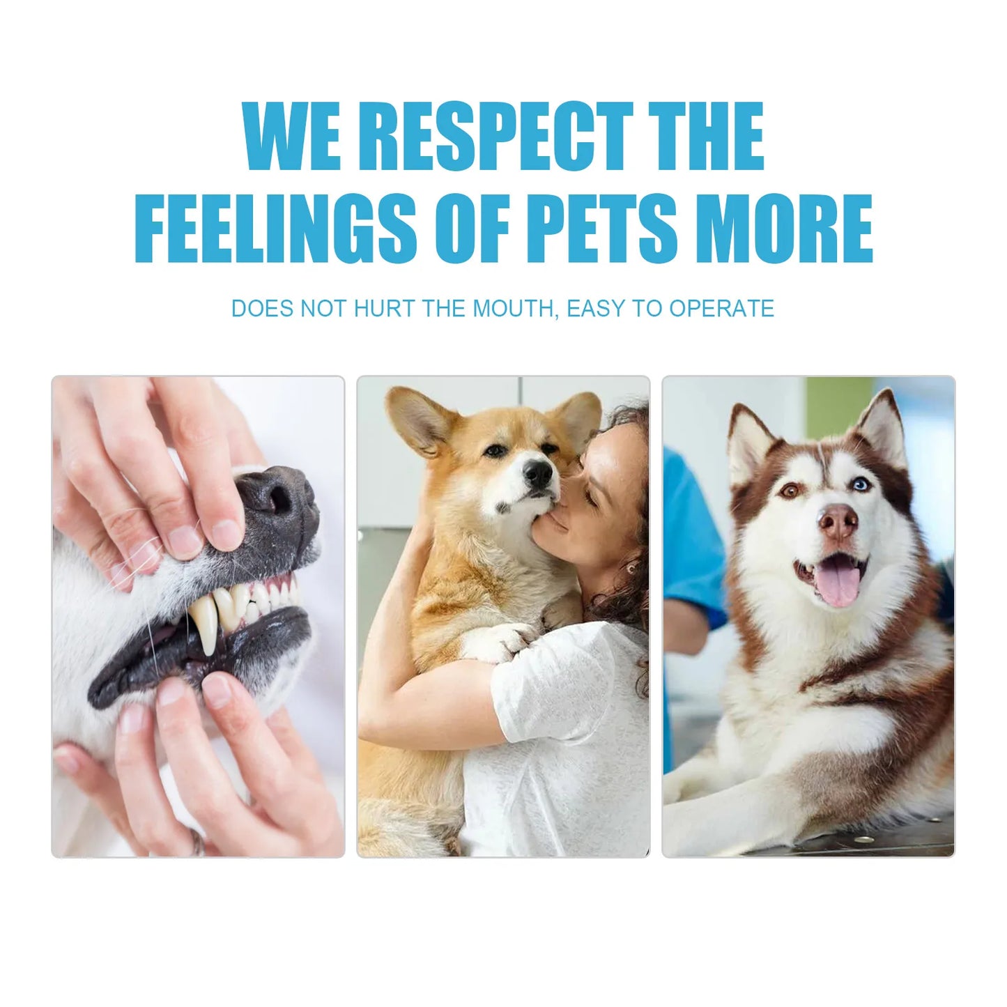 Pet Toothpaste Edible Dental Care For Dogs And Cats