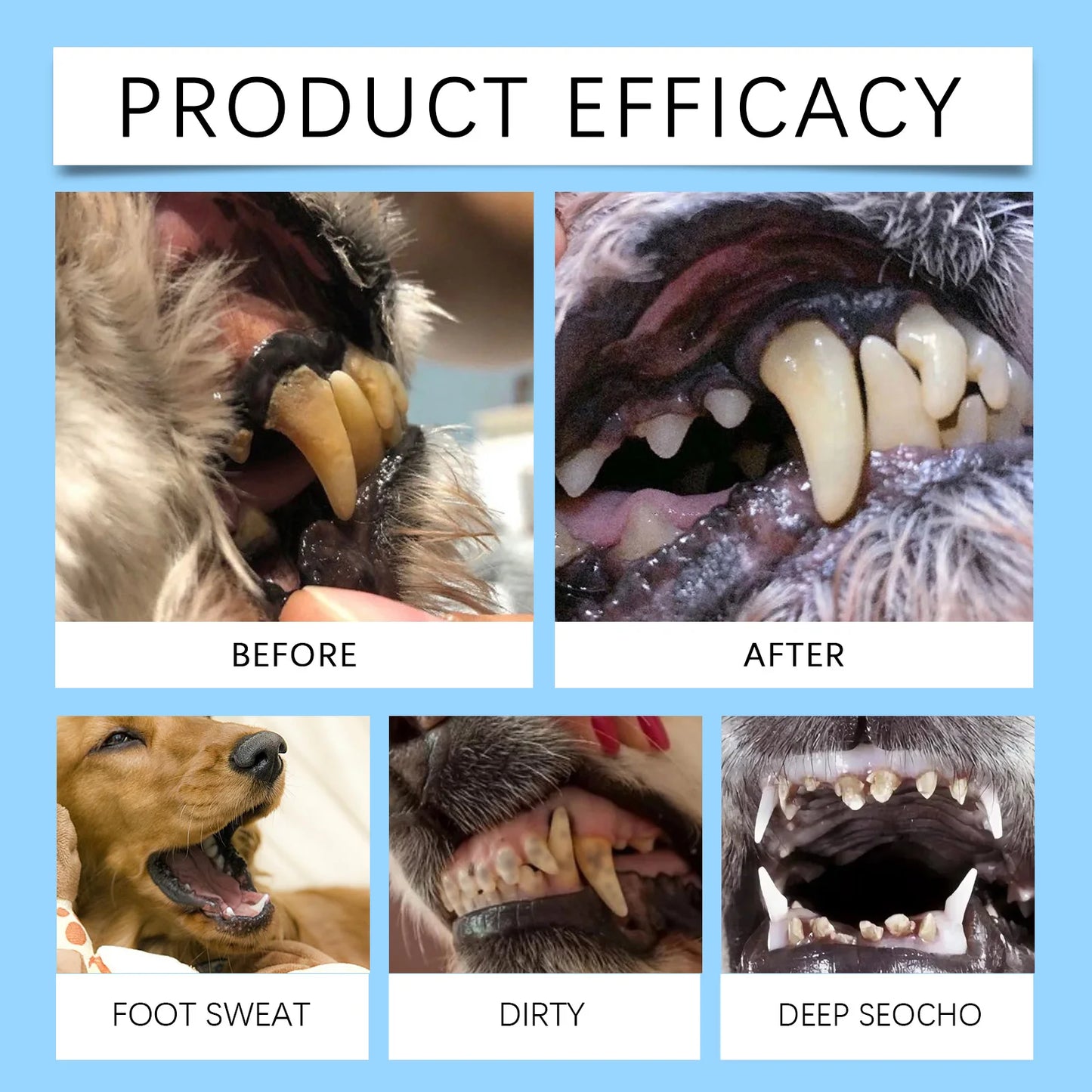 Hign-Concerned Chemical Pet Toothbrush Fresh Breath
