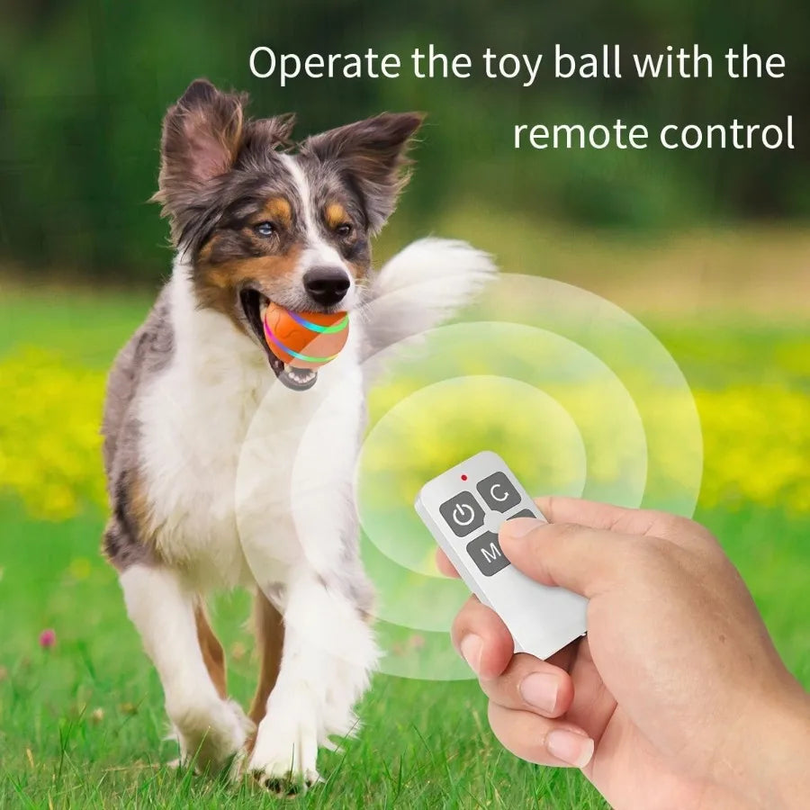 Hign-concerned Interactive Dog Chew Toy Ball Led Light