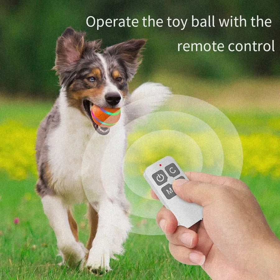 Hign-concerned Interactive Dog Chew Toy Ball Led Light