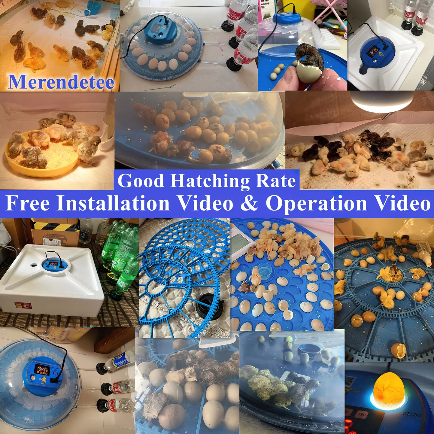 Automatic Chicken Egg Incubator 26-52 Eggs 360 Degree View