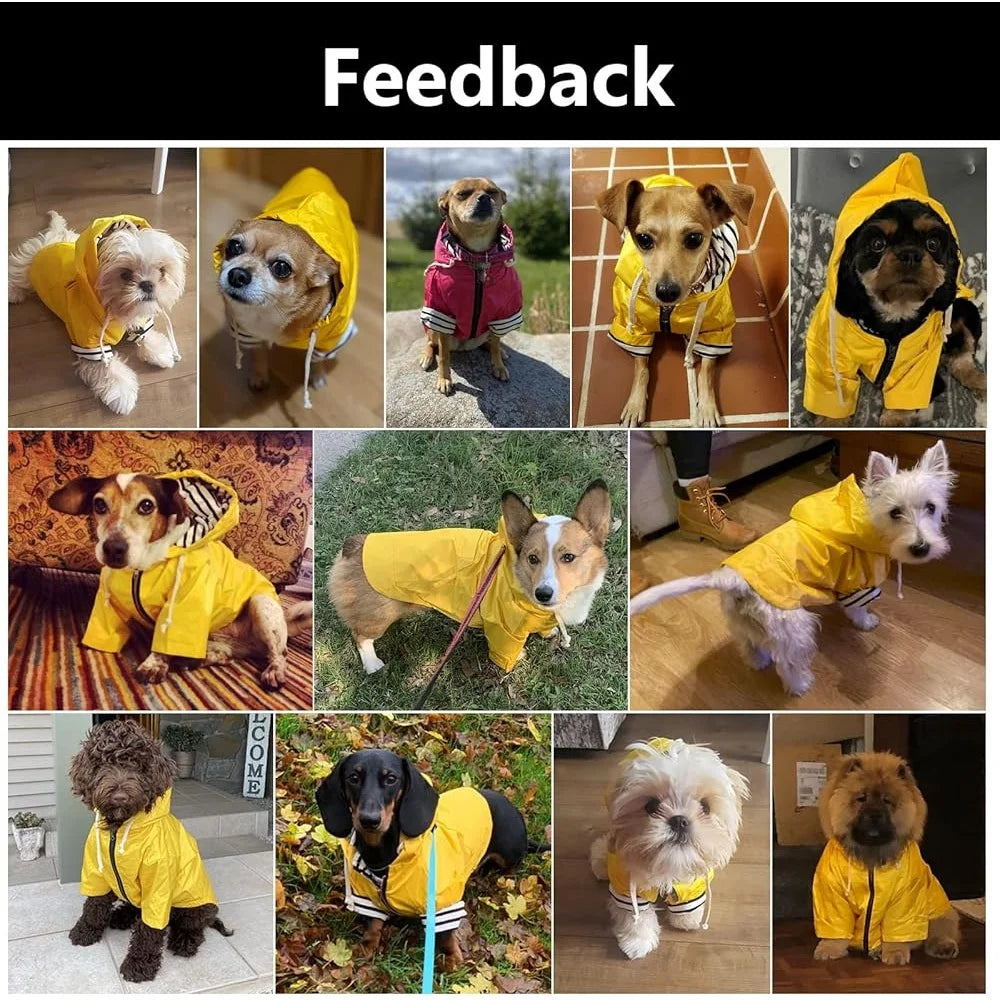Hign-concerned Dog Raincoat Waterproof Jacket With Harness