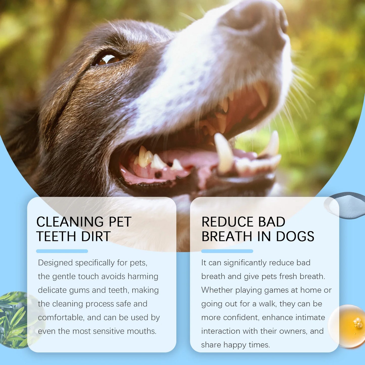 Hign-Concerned Chemical Pet Toothbrush Fresh Breath