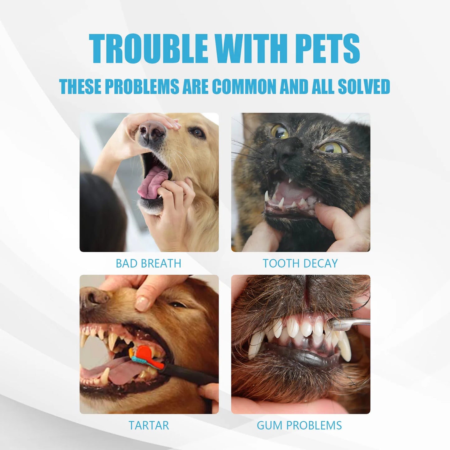 Pet Toothpaste Edible Dental Care For Dogs And Cats