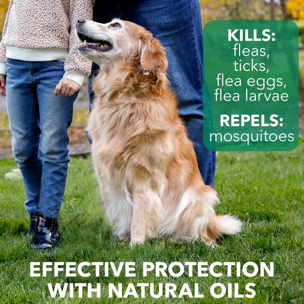 XMSJ Natural Flea Tick Dog Shampoo Plant Extracts Herbal