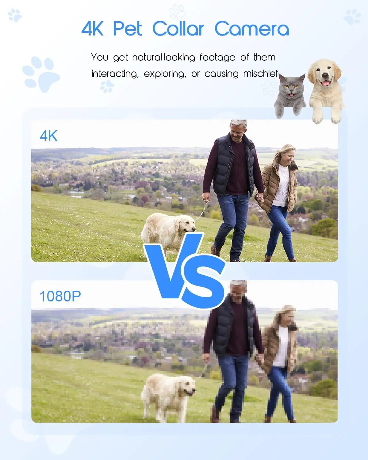 XMSJ 4K Cat Collar Camera HD WiFi Pet Camera With SD Card