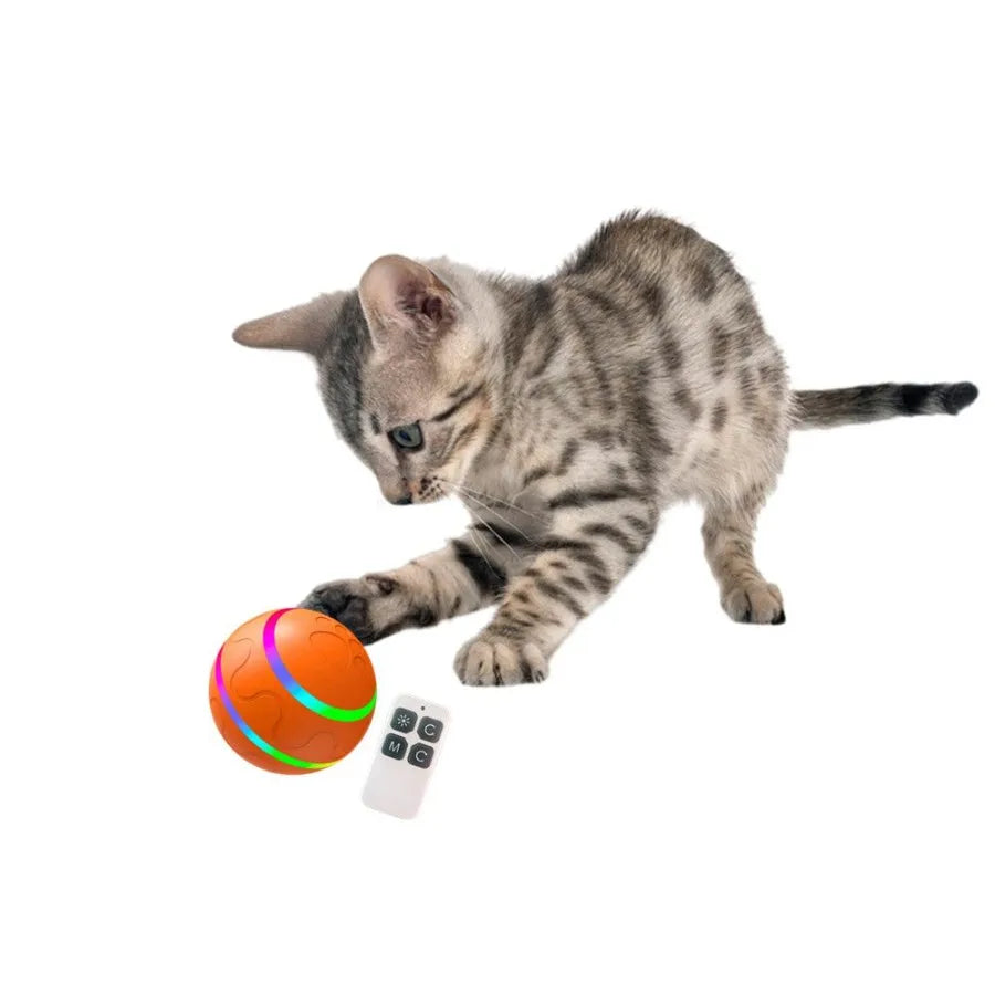 Hign-concerned Interactive Dog Chew Toy Ball Led Light