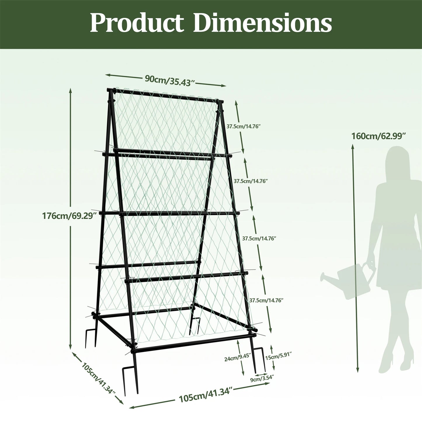 A Shaped Garden Trellis With Nylon Netting For Beans