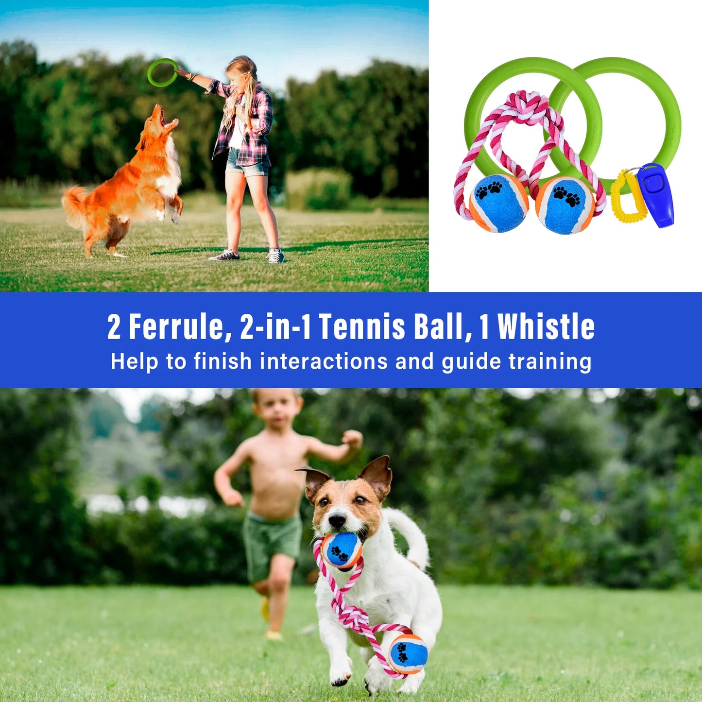 Dog Agility Training Set With Tunnels Jumps And Weave Poles