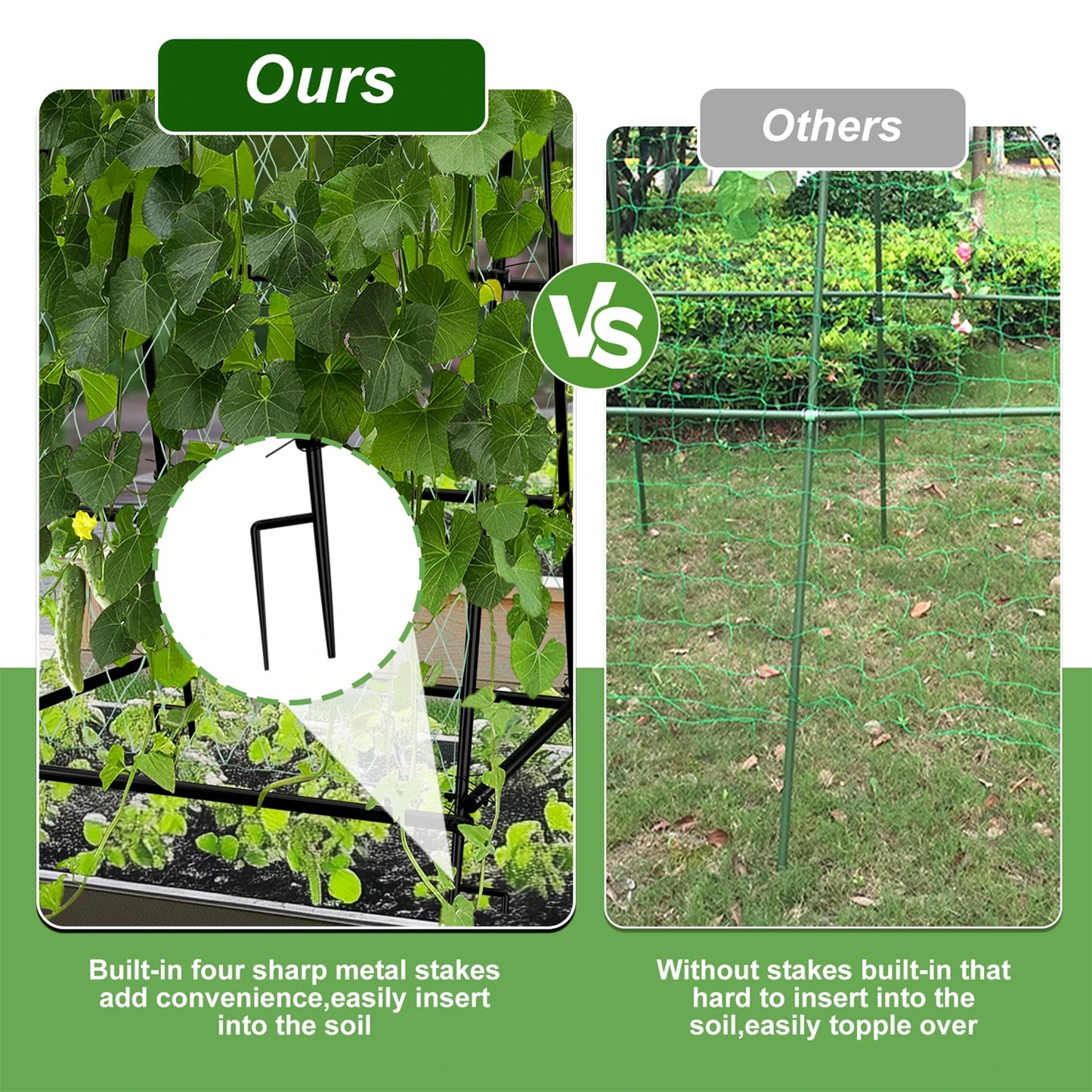 A Shaped Garden Trellis With Nylon Netting For Beans
