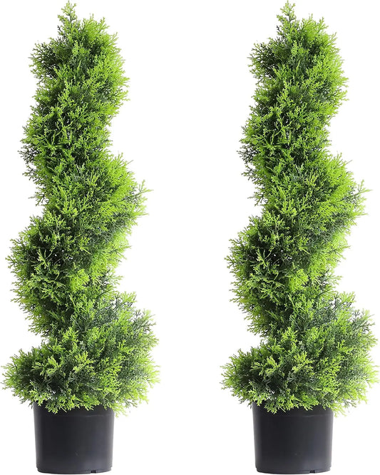 Hign-concerned Spiral Topiary Cypress Tree Two Pack Outdoor