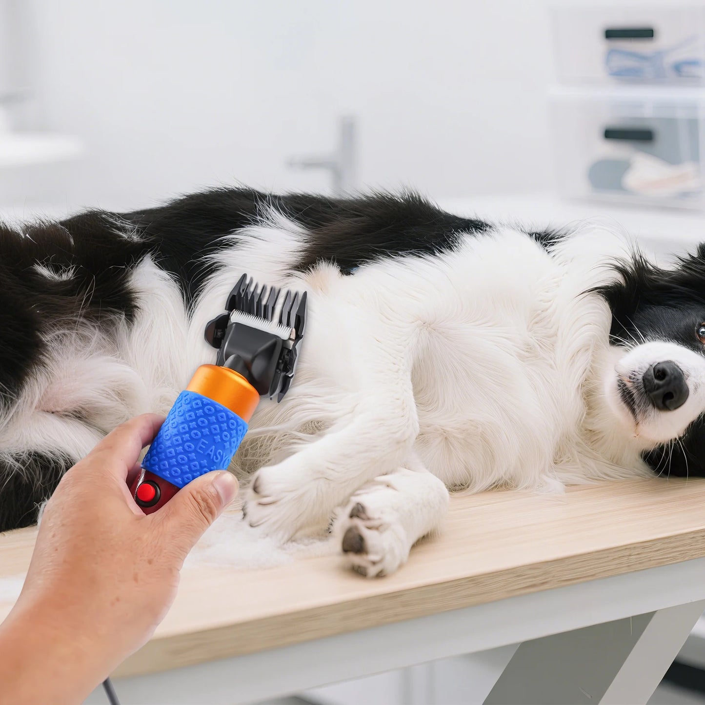 36W Dog And Cat Grooming Clipper Kit With Detachable Blades