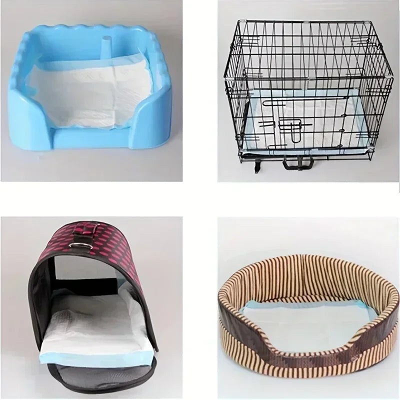 Nonedog Litter Disposable Dog Diapers And Training Pads