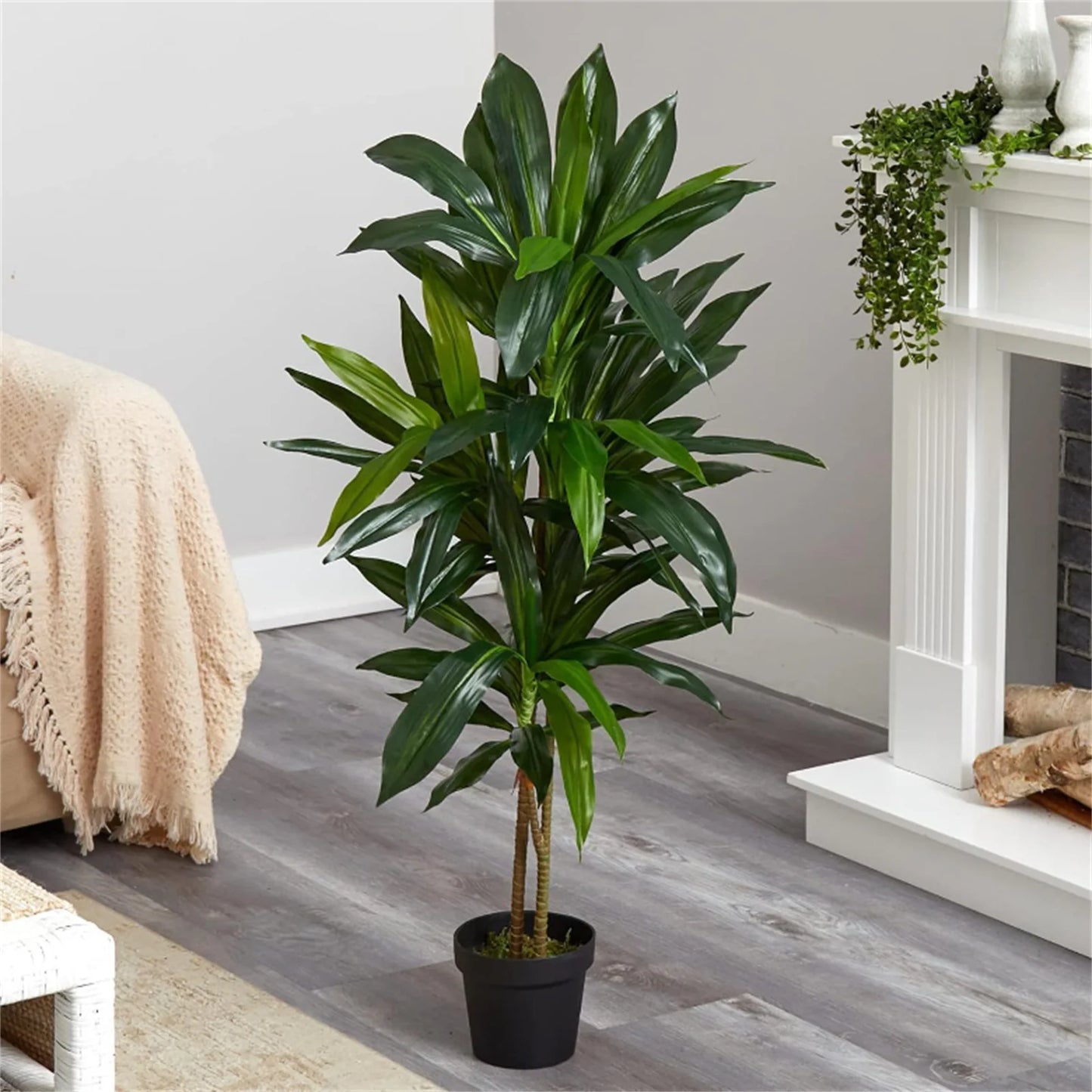 HiMISCN Artificial Dracaena Indoor Plant In Pot With Adjustable Branches