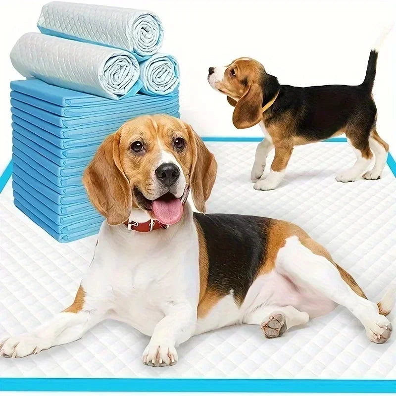 Nonedog Litter Disposable Dog Diapers And Training Pads