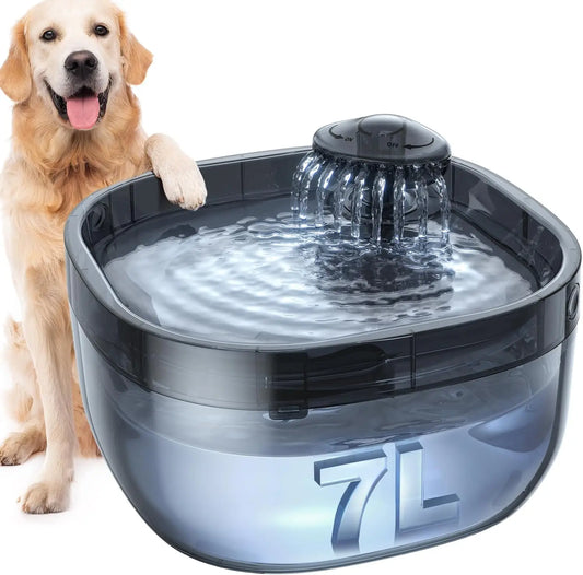 Dog Water Fountain With Ultra Quiet Pump And Three Filters