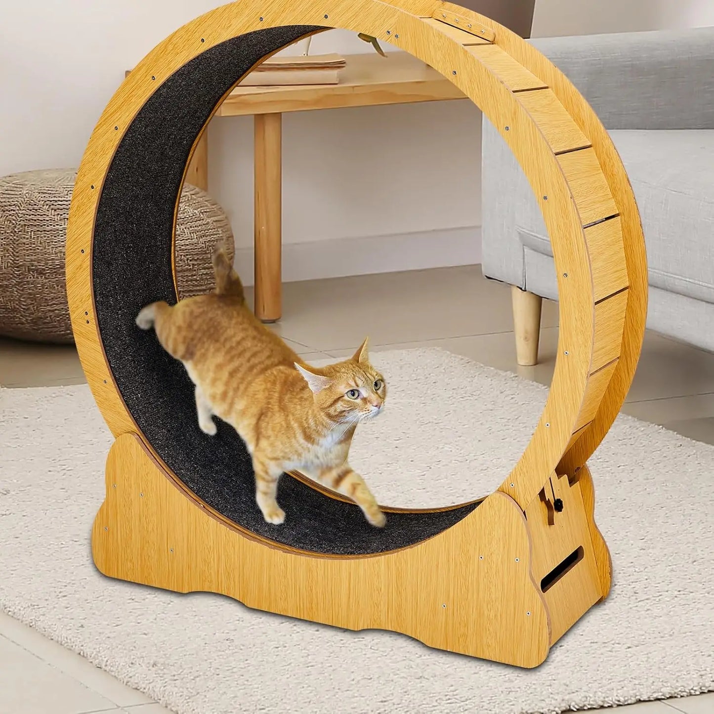 Indoor Cat Wheel Exerciser Treadmill Silent Running