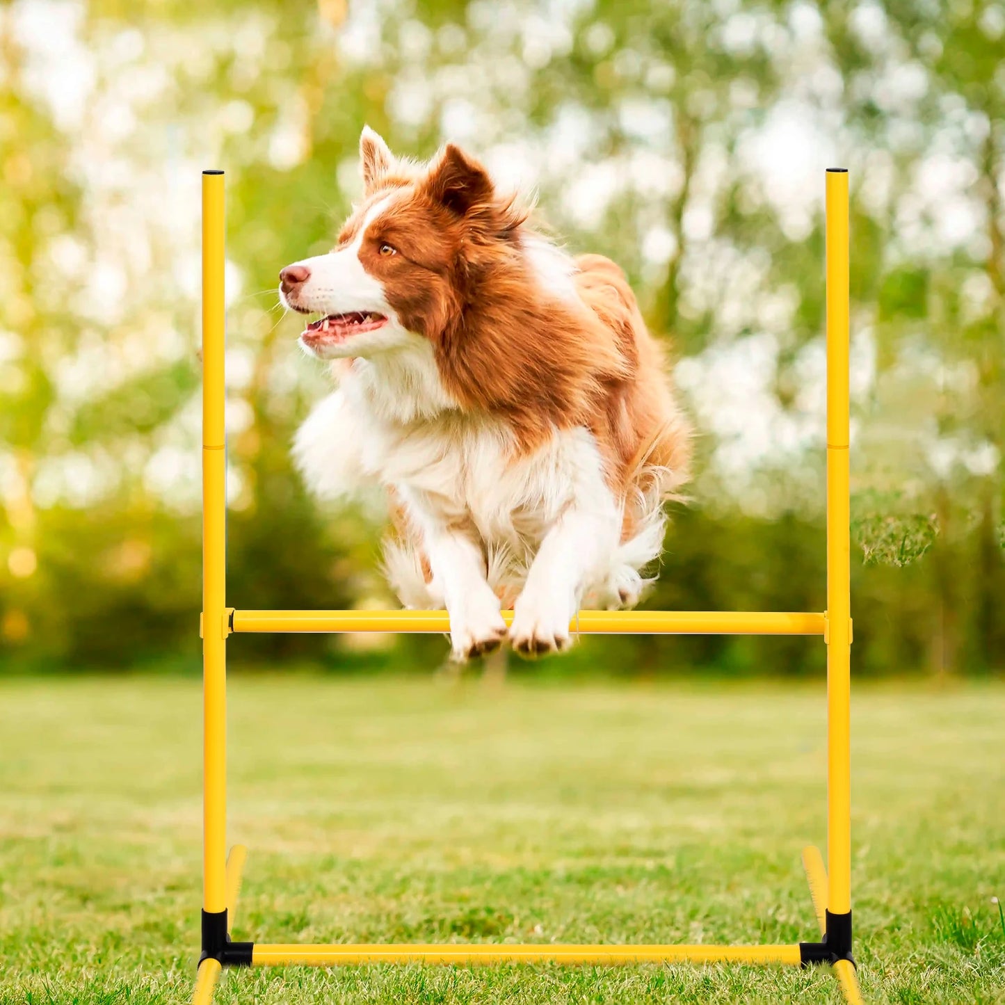 Dog Agility Training Set With Tunnels Jumps And Weave Poles
