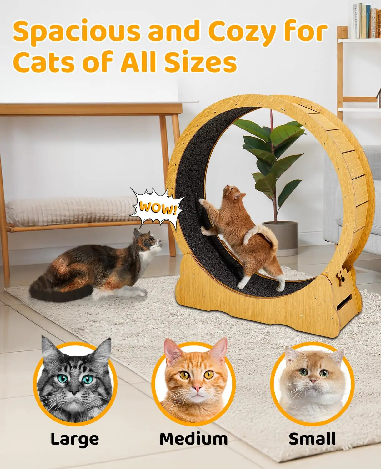 Indoor Cat Wheel Exerciser Treadmill Silent Running