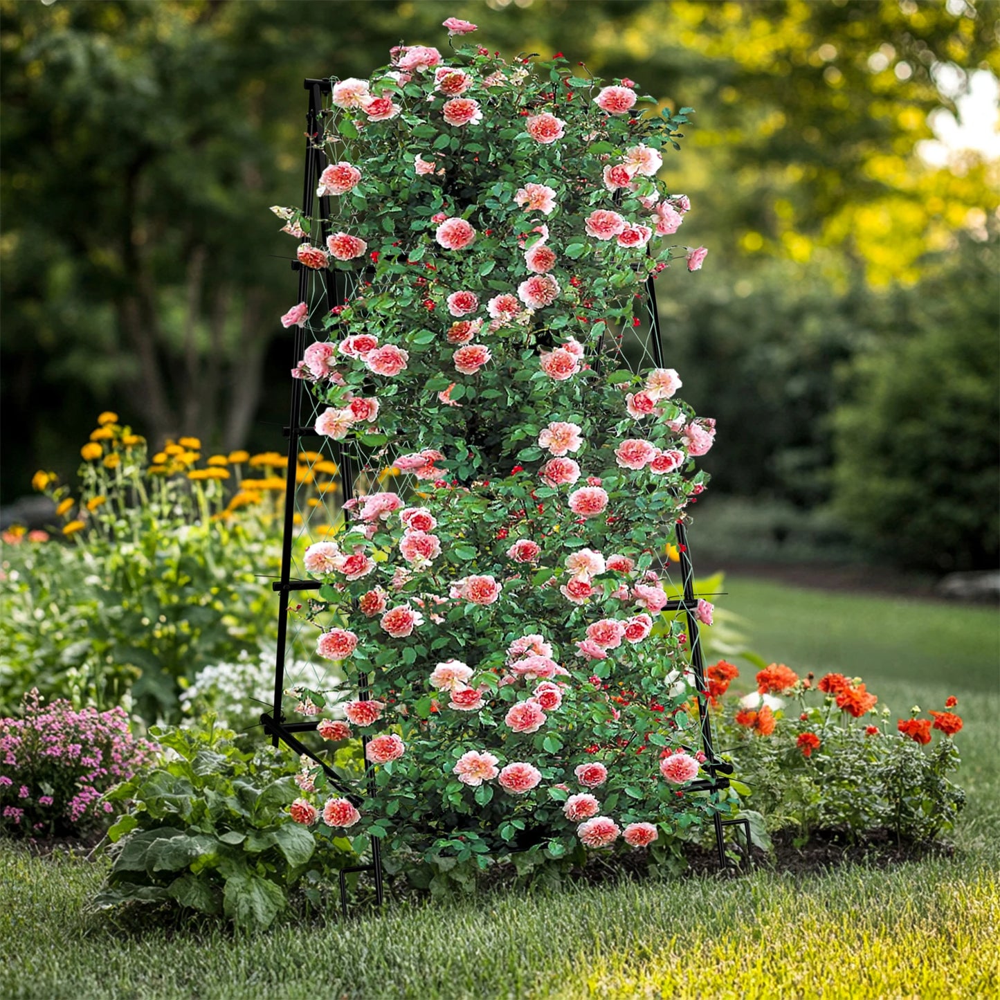 A Shaped Garden Trellis With Nylon Netting For Beans
