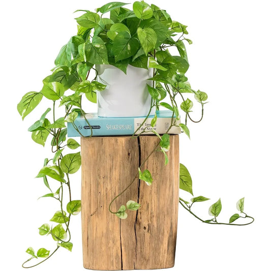 Fujian Silk Home Decor Plant In Pot Realistic Indoor