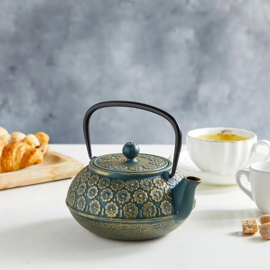Cast Iron Tea Kettle With Infuser Japanese Teapot Loose Leaf