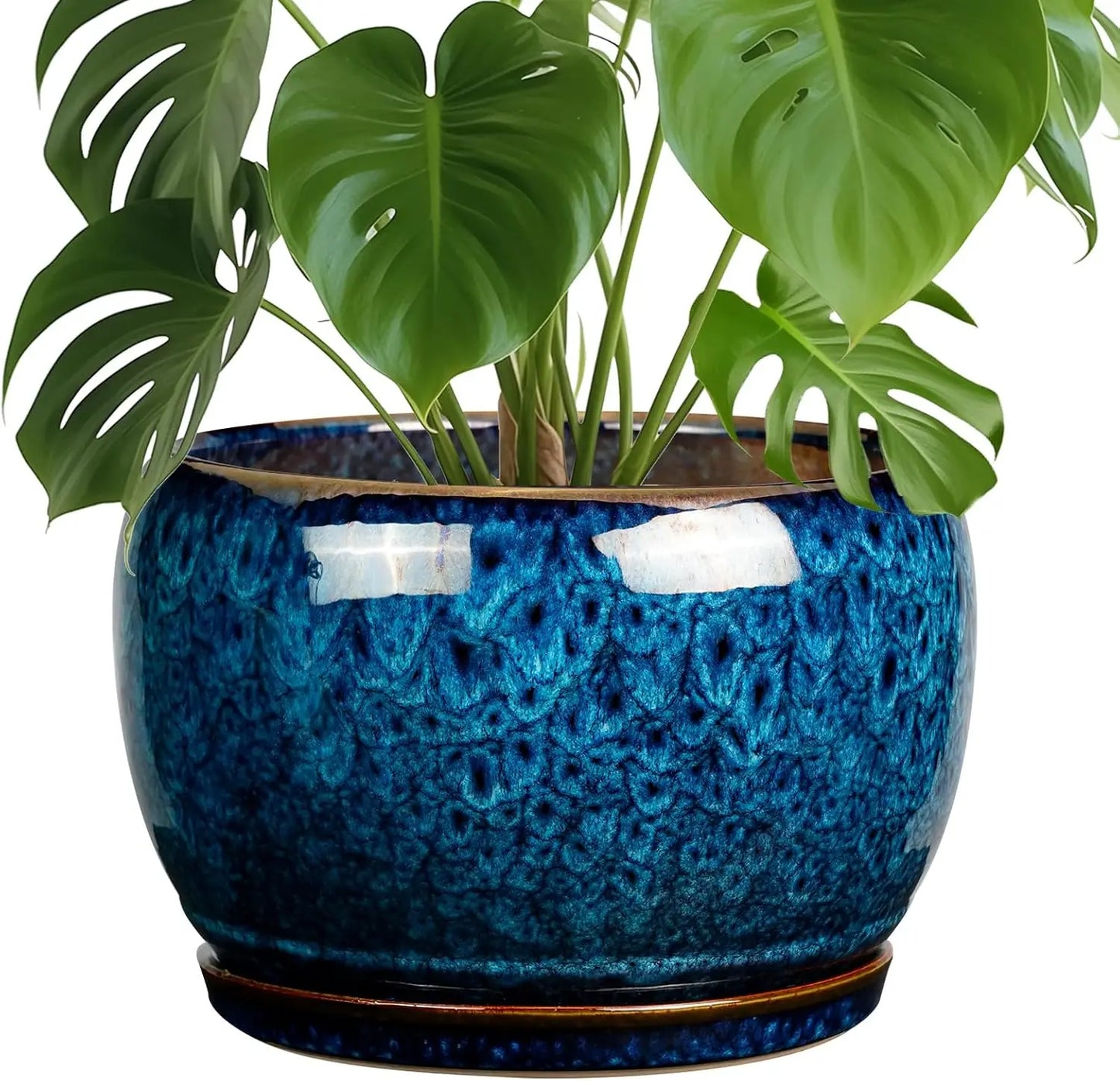 Ceramic Planter With Drainage Hole And Saucer For Indoor Plants