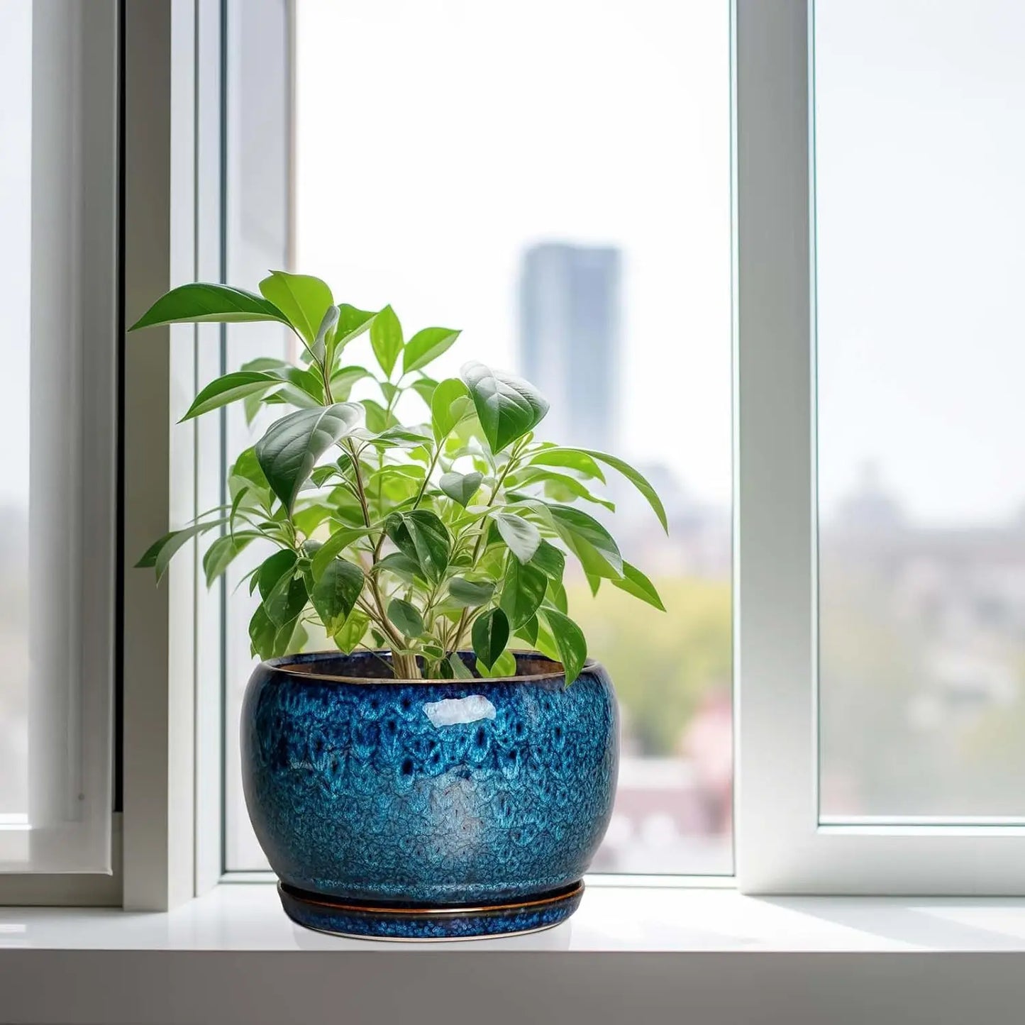 Ceramic Planter With Drainage Hole And Saucer For Indoor Plants