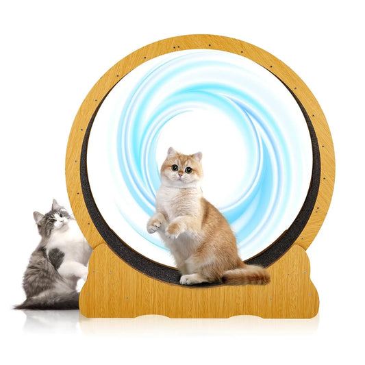 Indoor Cat Wheel Exerciser Treadmill Silent Running