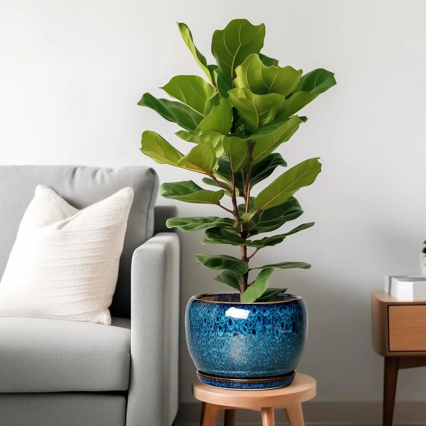 Ceramic Planter With Drainage Hole And Saucer For Indoor Plants