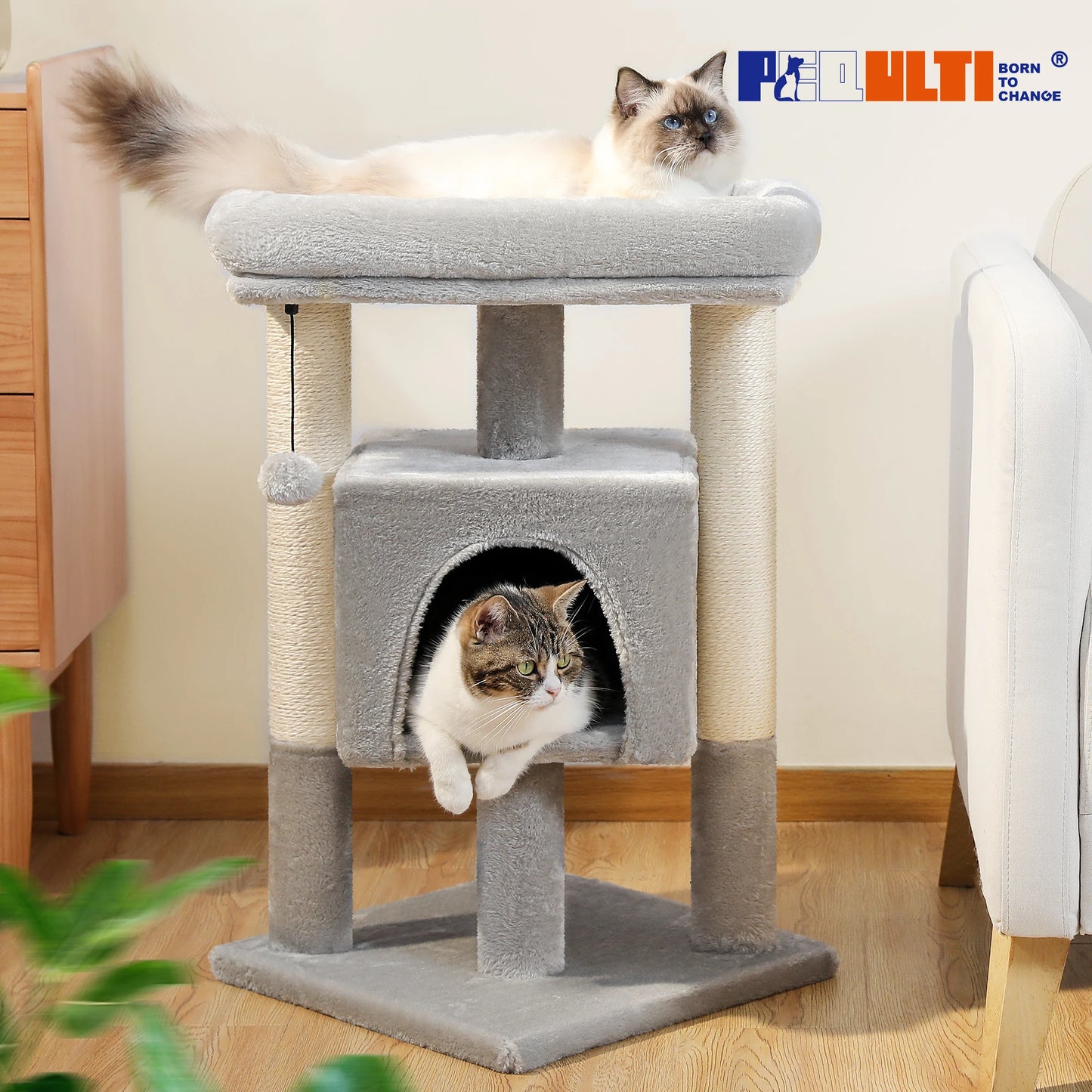 PAWZ Road Small Cat Tree With Sisal Scratching Posts And Soft Top Perch