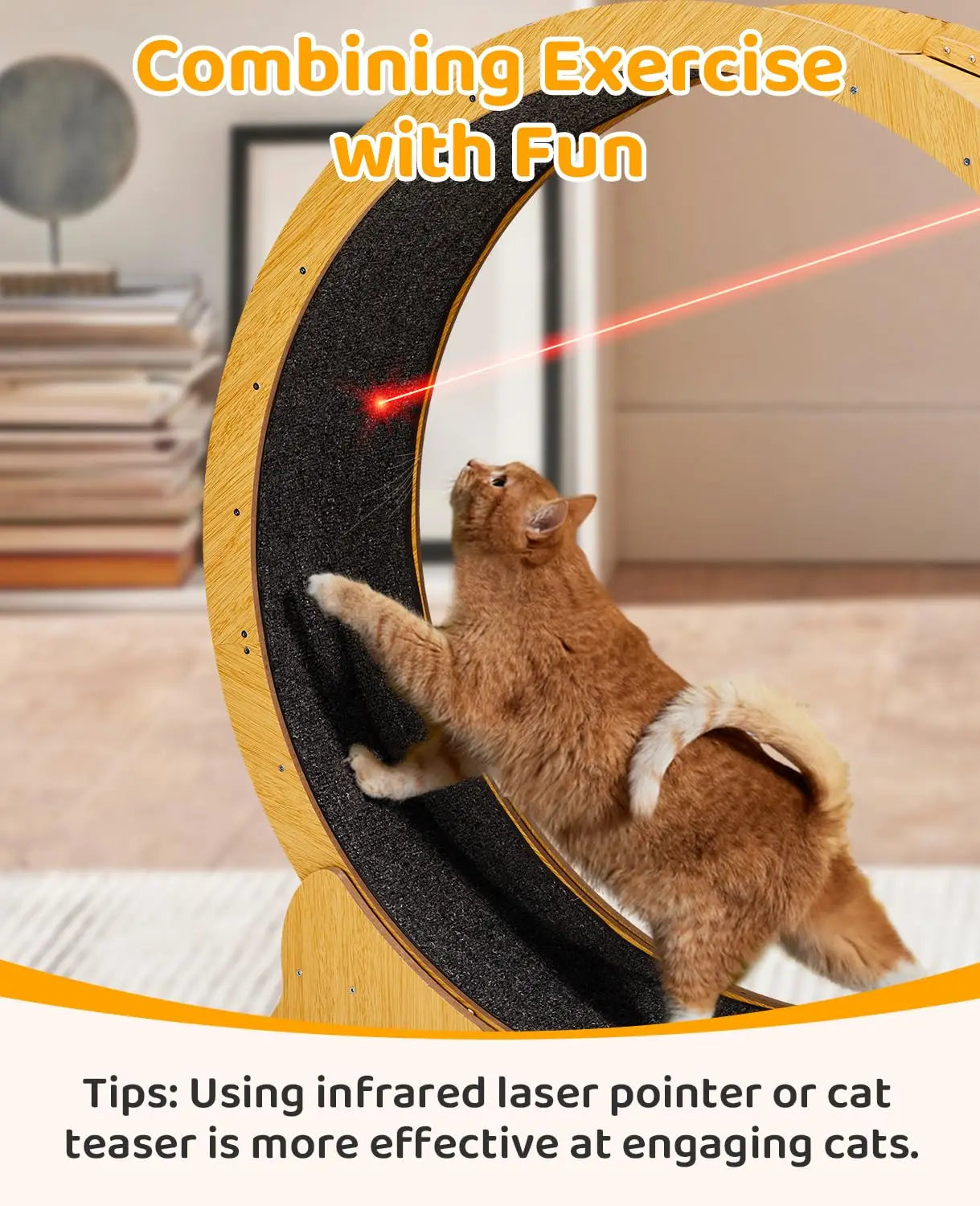 Indoor Cat Wheel Exerciser Treadmill Silent Running