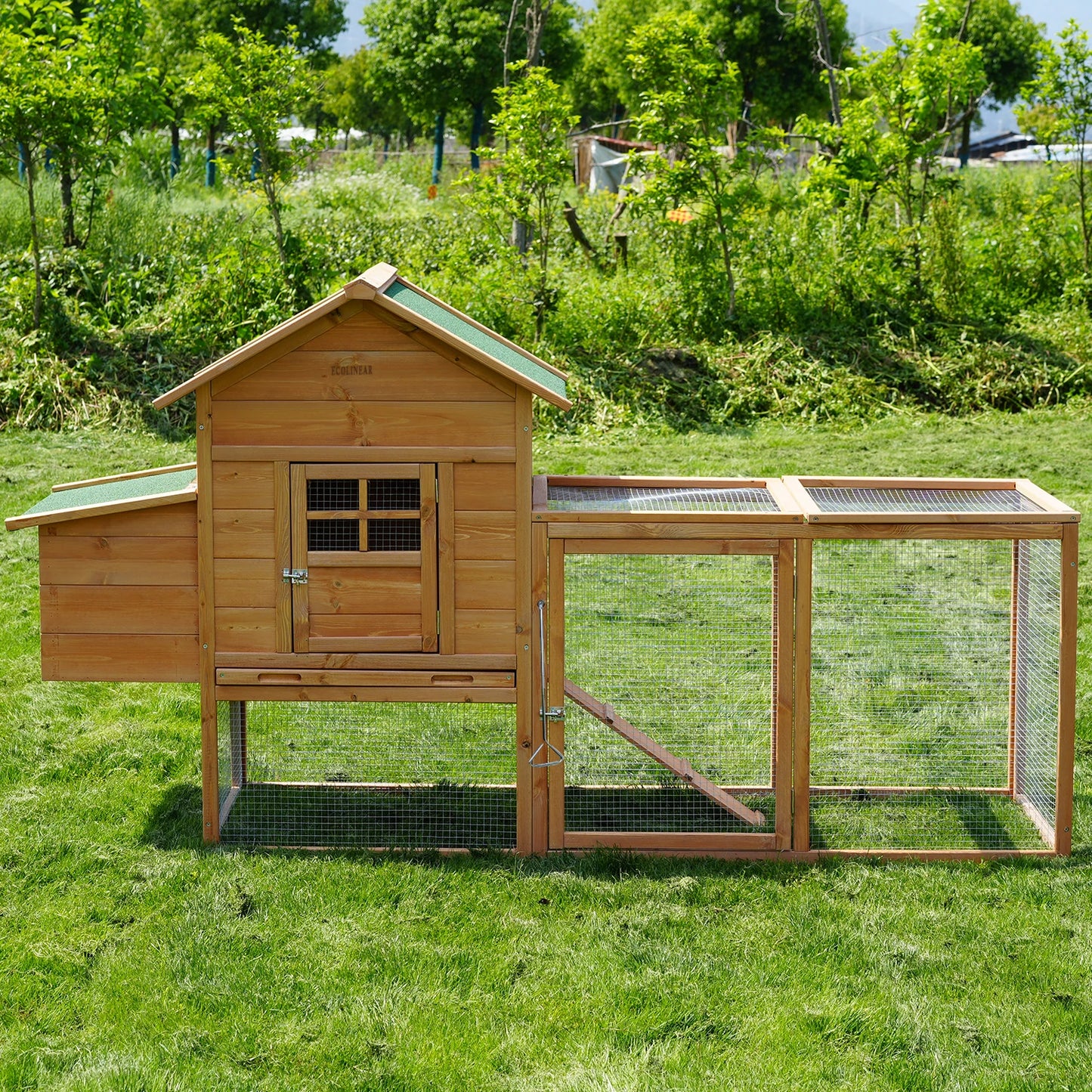 Farm Animals Morngardo Chicken Coop For 2 To 4 Chickens