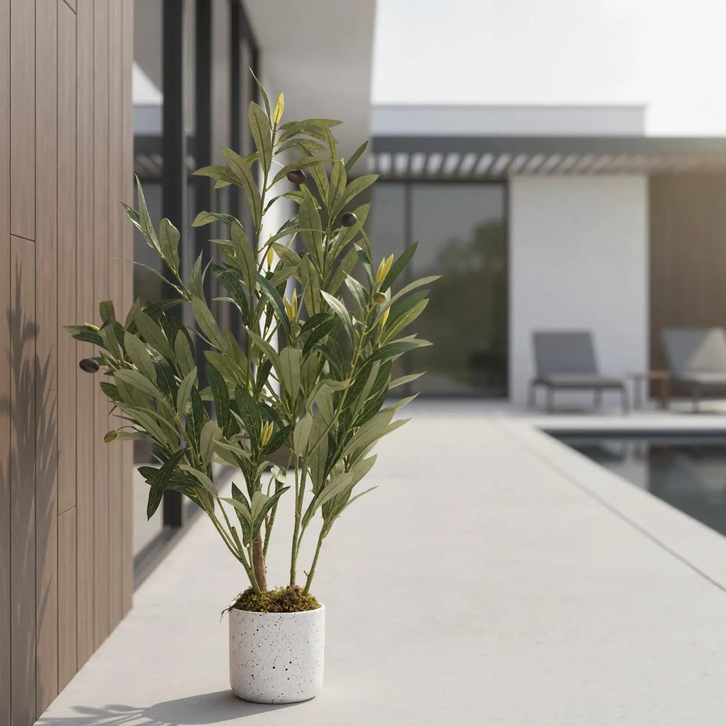 HiMISSCN Faux Olive Tree In Pot Artificial Indoor Plant Decor