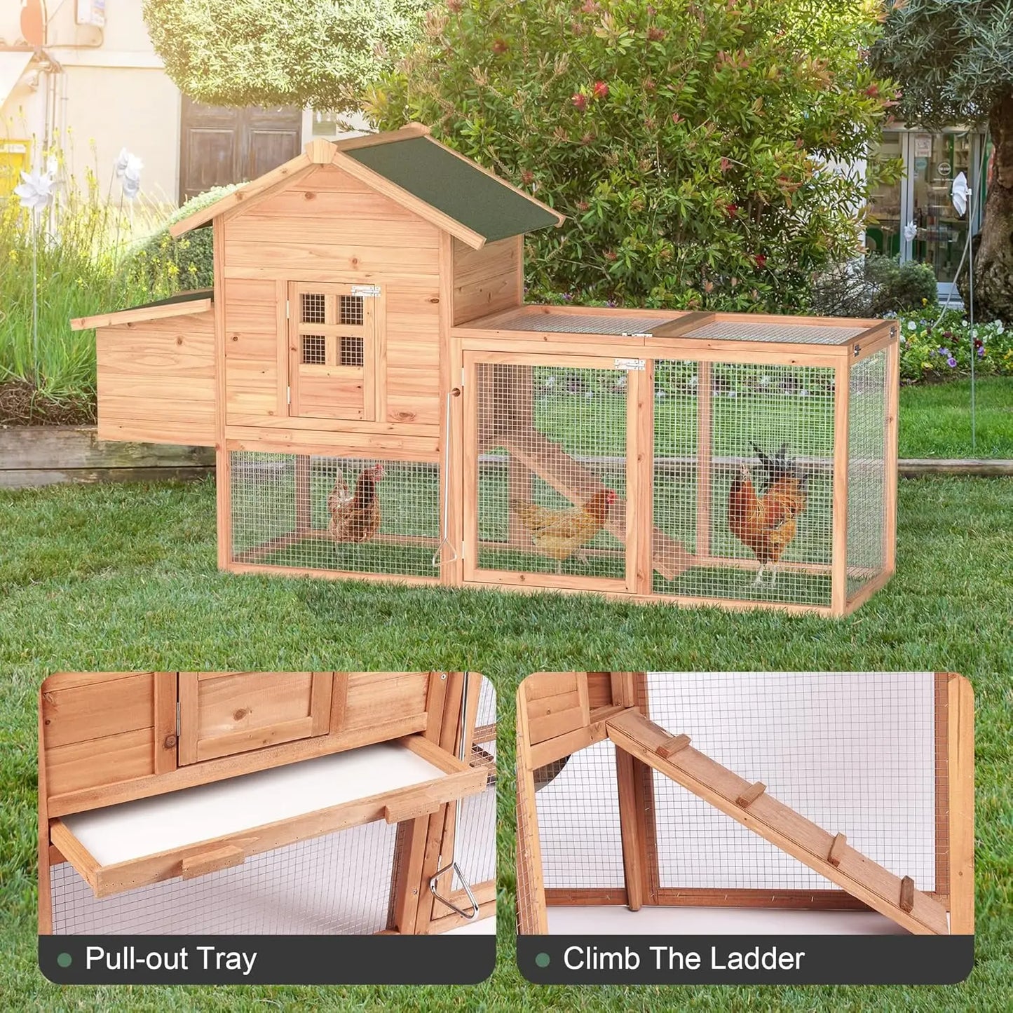 Farm Animals Morngardo Chicken Coop For 2 To 4 Chickens
