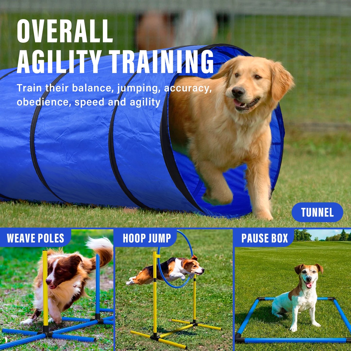 Dog Agility Training Set With Tunnels Jumps And Weave Poles