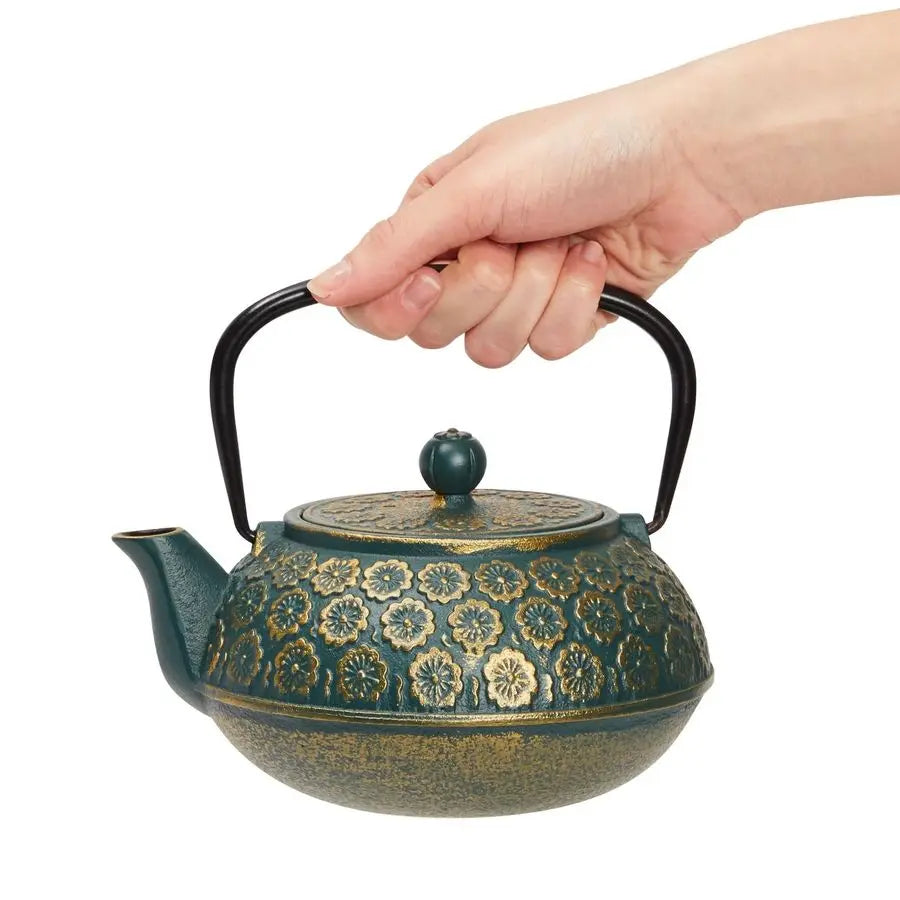 Cast Iron Tea Kettle With Infuser Japanese Teapot Loose Leaf