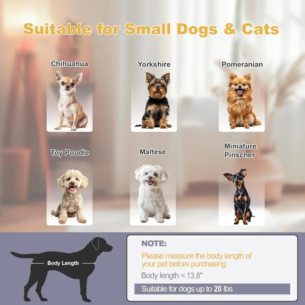 Pets Sofa Bed With Cushion For Small Dogs And Cats